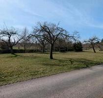 Streuobstwiese zur Pacht in Hildrizhausen