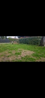 Foto - Einfamilienhaus in Gescher zum Kaufen