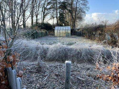 Foto - Etagenwohnung in Neuenhaus zur Miete