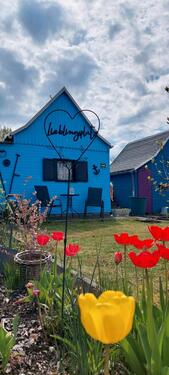 Foto - Garten liebevoll gestaltet - 850,00&nbsp;EUR Kaltmiete, ca.&nbsp; 0,00&nbsp;m&sup2;