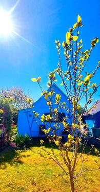 Foto - Grundst&uuml;ck zur Miete in Chemnitz