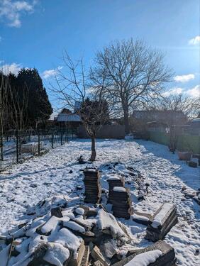 Foto - Reihenmittelhaus in Sande Cäciliengroden