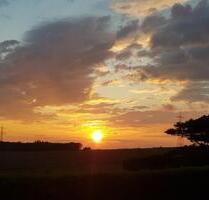 Sonnenuntergangs-Oase(Kleingarten) - Rabenau