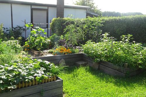 Foto - Grundst&uuml;ck zur Miete in Rabenau