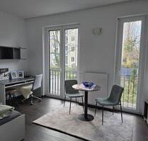 1 Zi Apartment - 730,00&nbsp;EUR Kaltmiete, ca.&nbsp; 24,00&nbsp;m&sup2; in Ühlingen-Birkendorf (PLZ: 79777)