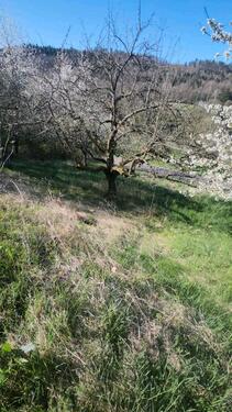 Foto - Garten Grundstück - 180,00&nbsp;EUR Kaltmiete, ca.&nbsp; 0,00&nbsp;m&sup2;