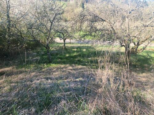 Foto - Grundst&uuml;ck zur Miete in Neuenstadt am Kocher