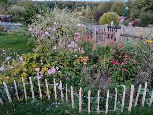 Foto - Grundst&uuml;ck zur Miete in Limbach-Oberfrohna