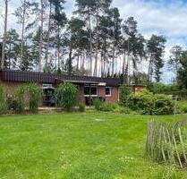 Ferienhaus mit Erstwohnsitz auf großem Grundstück - Winsen (Aller)