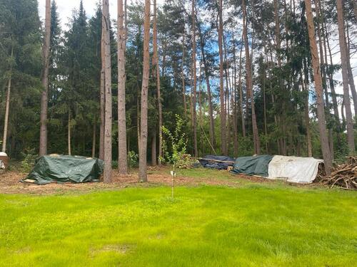 Foto - Einfamilienhaus in Winsen (Aller) zum Kaufen