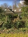Foto - 7 Zimmer Bungalow in Biebergemünd