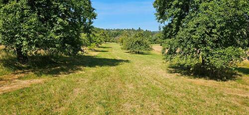 Foto - Verpachte Freizeit-Grundstücke in Aichtal Aich, Obstbäumen, ...