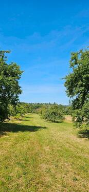 Foto - Grundst&uuml;ck in Aichtal