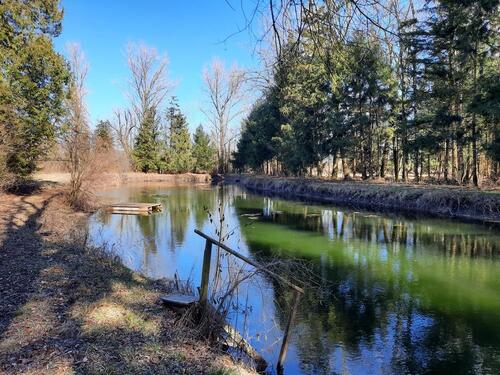 Foto - Weiher, Fischweiher, Freizeitgrundstück zu verpachten