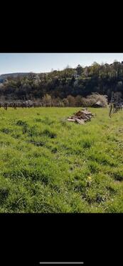 Foto - Garten Stückle mit kleiner Hütte in Walheim