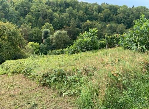 Foto - Grundstück in Walheim