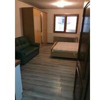 Ruhige 1 Zi.-Whg., möbl., Stellplatz, 78736 Epfendorf-Trichtingen