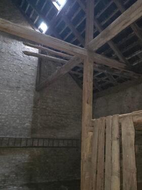 Foto - andere in Rostock zur Miete