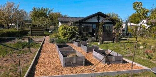 Foto - Kleingarten Parzelle absofort abzugeben