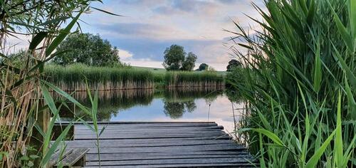 Foto - andere in Hannover zur Miete