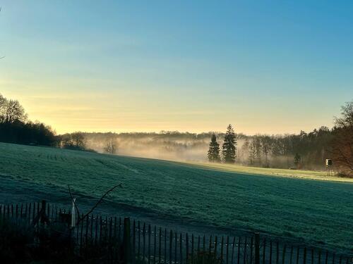 Foto - 1 Zimmer andere zur Miete in Steinhagen