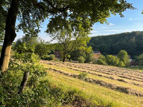 Foto - 1 Zimmer andere in Steinhagen