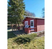 PachtgartenKleingarten in Weißensee 30km von Erfurt