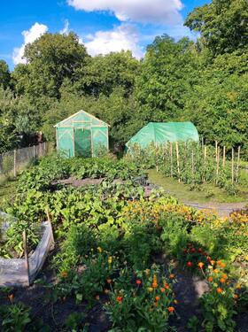 Foto - Grundst&uuml;ck zur Miete in Erfurt