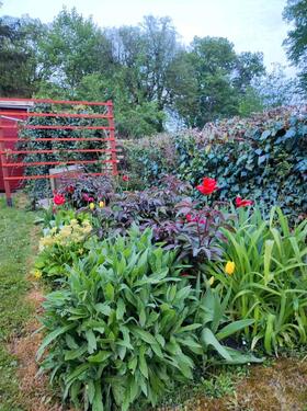 Foto - Grundst&uuml;ck in Erfurt