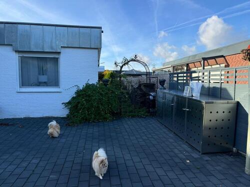 Foto - Moderne Bungalow, 2023 voll saniert plus ca. 40 m² Ausbaureserve