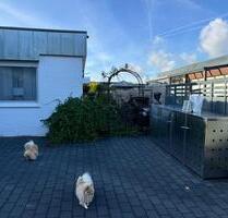 Moderne Bungalow, 2023 voll saniert plus ca. 40 m² Ausbaureserve - Steinfurt