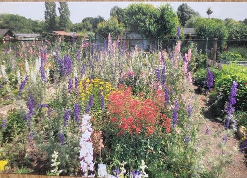 Foto - Kleingarten in Gohlis abzugeben 185m2