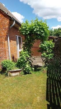 Foto - 5 Zimmer Einfamilienhaus in Aukrug