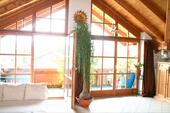 Foto - Oberbayern Alpenrand Chiemsee DG-Wohnung 145 qm Bergpanorama