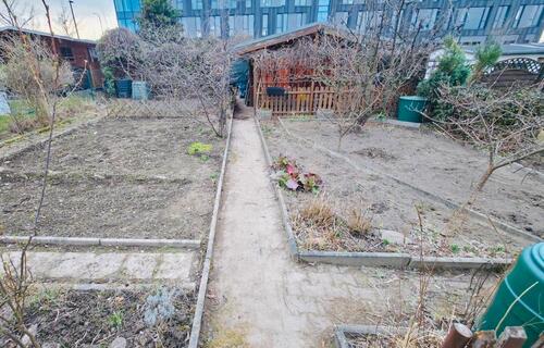 Foto - Schöner Kleingarten (210 qm) in 01189 Dresden abzugeben