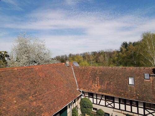 Foto - Einfamilienhaus in Fischbachtal zum Kaufen