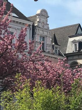 Foto - Wohnung Krefeld Alexanderplatz Samtweberviertel
