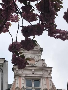 Foto - 2 Zimmer Dachgeschoßwohnung in Krefeld