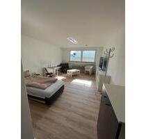 Schöne 1 Zimmer Souterrain Wohnung in Horn Bad Meinberg - Horn-Bad Meinberg