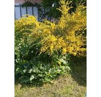 Garten zu Verpachten - 300,00 EUR Kaltmiete, ca.  0,00 m² in Oberschöna (PLZ: 09600)