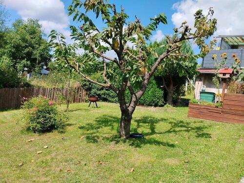 Foto - Garten Pachtgarten Kleingarten im KGV abzugeben