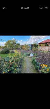 Foto - Pachtgarten, Kleingarten, Schrebergarten, Garten, Gartenanlage