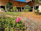 Foto - 11 Zimmer Einfamilienhaus zum Kaufen in Birkenfeld