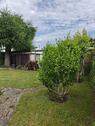 Foto - Einfamilienhaus in Sundhagen zum Kaufen