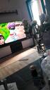 Foto - 017614354827 - 310,00 EUR Kaltmiete,