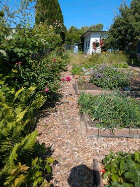 Foto - Kleingarten Kringelgraben Südstadt