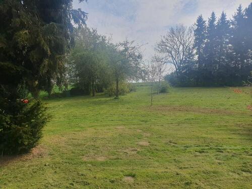 Foto - Einfamilienhaus in Döbeln