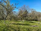 Foto - Streuobstwiese - 100,00 EUR Kaltmiete, ca.  0,00 m²