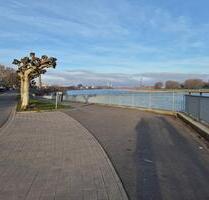 1 Zimmer-Wohnung am Rheinufer zu vermieten in Duisburg-Homberg