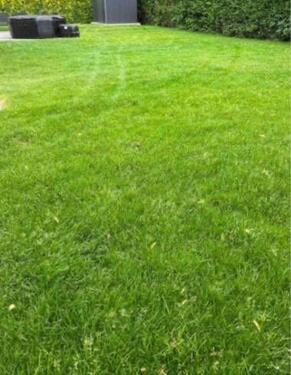 Foto - Erdgeschoßwohnung in Berlin zur Miete